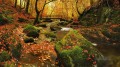 Herbst Strom Fallen Leaves Landschaftsmalerei von Fotos zu Kunst